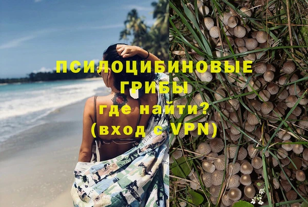 мяу мяу мука Алексеевка