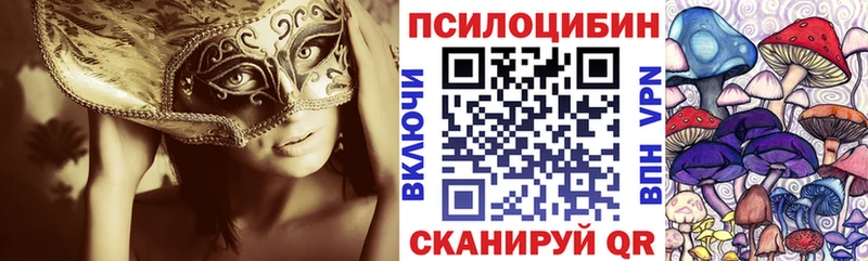 ссылка на мегу зеркало  купить закладку  Бирюсинск  Псилоцибиновые грибы Psilocybine cubensis 